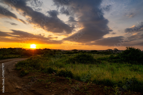 Kenia African sunset in wildpark photo