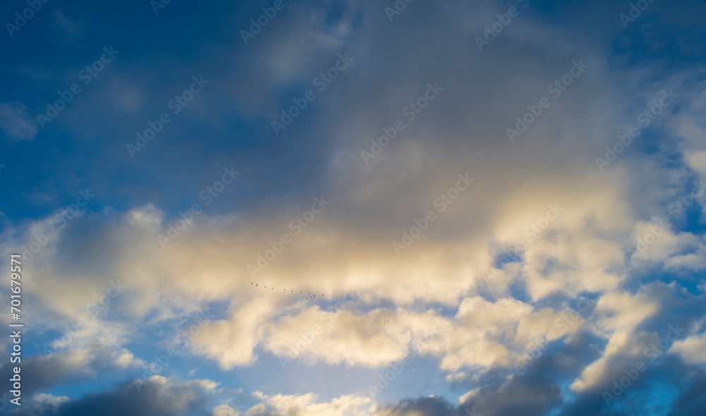 Birds flying in a blue cloudy sky in sunlight in winter, Almere, Flevoland, The Netherlands, January 1, 2024