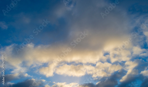 Birds flying in a blue cloudy sky in sunlight in winter, Almere, Flevoland, The Netherlands, January 1, 2024