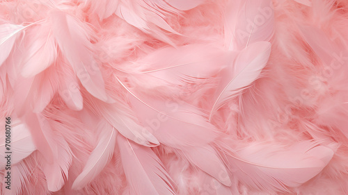pastel pink feathers