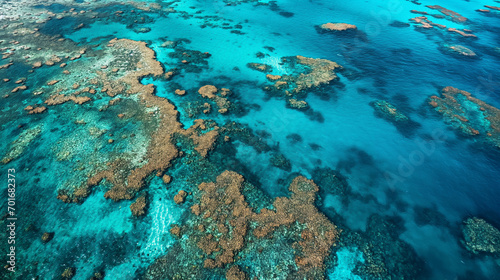 Great barrier reef showing the intricate patterns and vibrant colors of the coral ecosystem. Landscapes illustration, Aerial view, Generative AI