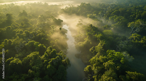 The calm early morning mist forms over the rainforest, creating a curtain of tranquility over the lush canopy. Aerial view, Landscapes illustration, Generative AI