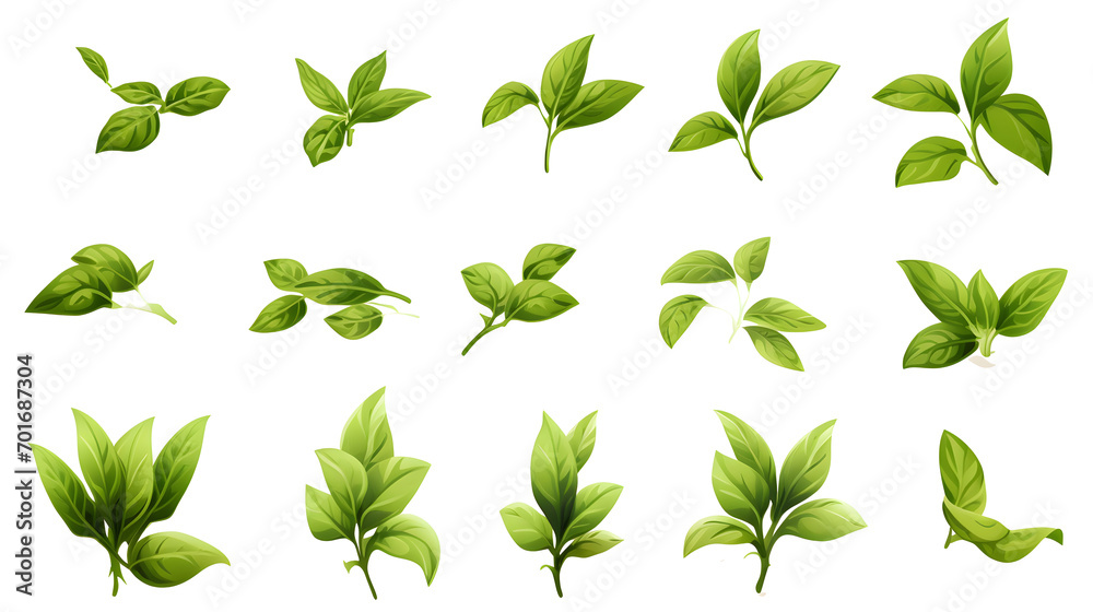 Set of flying basil leaves on white background