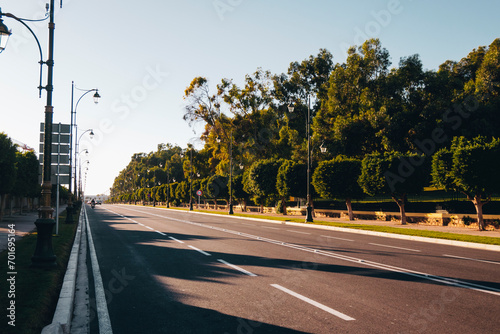 Tree lined road in Agadir, Morocco