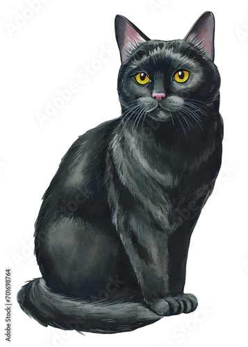 Black Cat hand drawing on an isolated white background. Animal watercolor illustration. Cute pet hand drawn  funny cat
