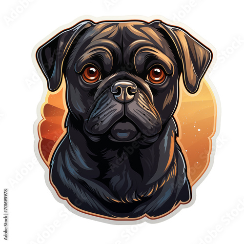 Portrait of a Pug with vintage colors photo