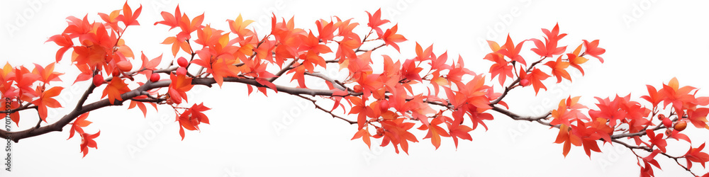 branch with red autumn leaves