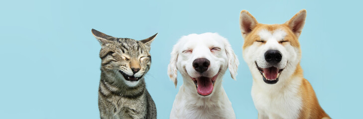 Banner pets. Dog and cat smiling dogs with happy expression. and closed eyes. Isolated on blue colored background on summer or spring season