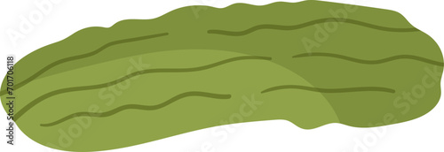 Cucumber Vegetable Icon