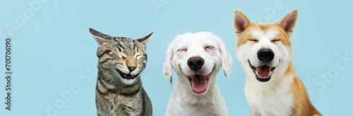 Banner pets. Dog and cat smiling dogs with happy expression. and closed eyes. Isolated on blue colored background on summer or spring season