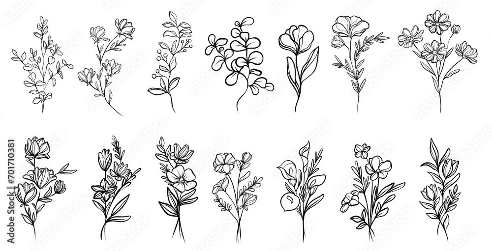 Bundle of charcoal hand drawn plants illustrations. Botanical set of flowers sketches  branches. Beautiful flowers and plants transparent background - obrazy, fototapety, plakaty 