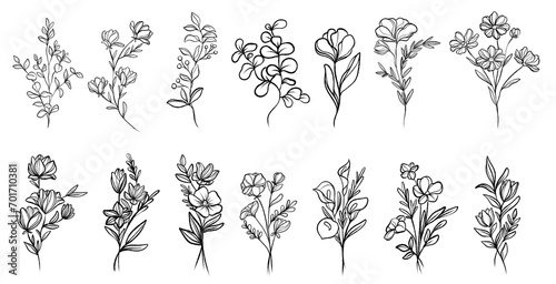 Bundle of charcoal hand drawn plants illustrations. Botanical set of flowers sketches branches. Beautiful flowers and plants transparent background