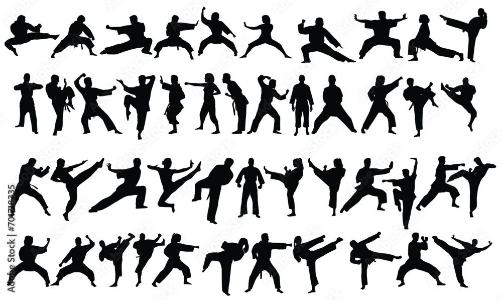 Silhouette of mix martial arts, Kungfu, boxing, karate, kick boxing, jujitsu, taekwondo, sumo, mauy thai. Vector illustration. Silhouette of mix martial arts, Kungfu, boxing, karate, kick boxing, jujitsu, taekwondo, sumo, mauy thai. Vector illustration.