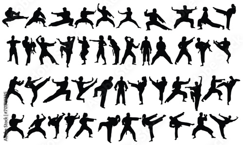 Silhouette of mix martial arts  Kungfu  boxing  karate  kick boxing  jujitsu  taekwondo  sumo  mauy thai. Vector illustration. 
