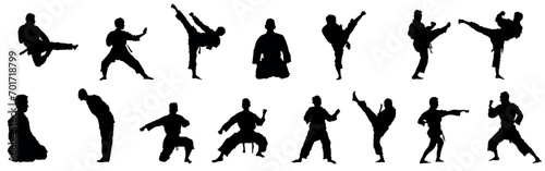 Silhouette of martial art. Kungfu, karate, taekwondo photo
