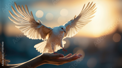 Pigeon flying on woman hand , freedom and hope concept , international day of peace photo