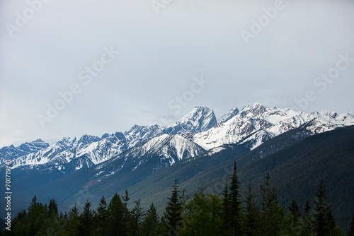 Summer landscape in Glacier National Park, British Columbia, Canada