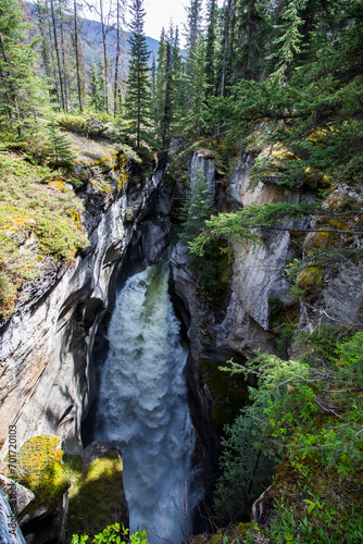 Summer landscape in Maligne Canyon, Jasper National Park, Canada