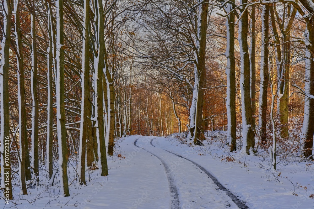 Naklejka premium Stunning panorama of snowy landscape in winter in Luzické hory - winter wonderland