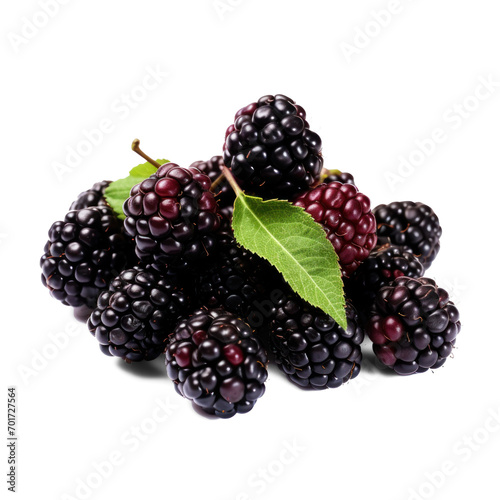 Group blackberry without background and shadows on isolate transparency background, PNG