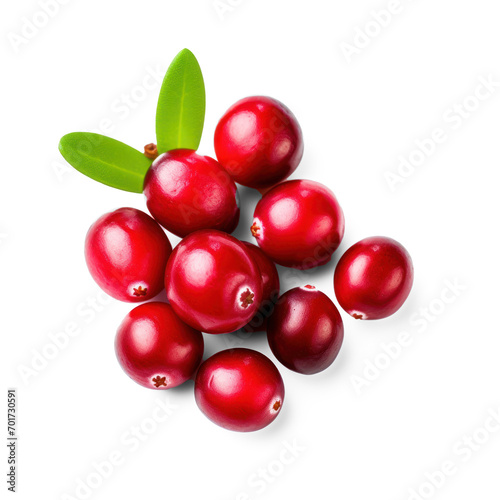 Cranberry on isolate transparency background, PNG
