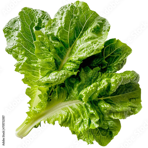 Lettuce leaves on a white background photo