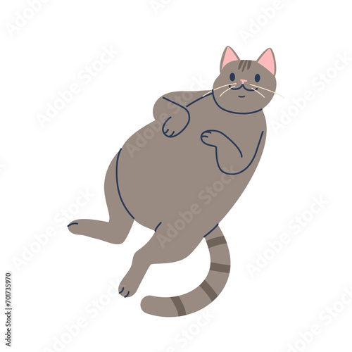 Relaxed Cat Lies On Its Back, Displaying Its Fluffy Tummy. Paws Extended, Eyes Half-closed, Exuding Contentment