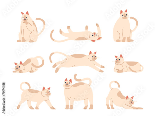 Cat Poses Capture Feline Elegance And Playfulness. From The Classic Stretch To The Curious Pounce Movement Vector Set