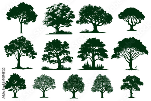 Sketch Trees Forest and park coniferous and deciduous trees. Vector isolated green nature set against background photo