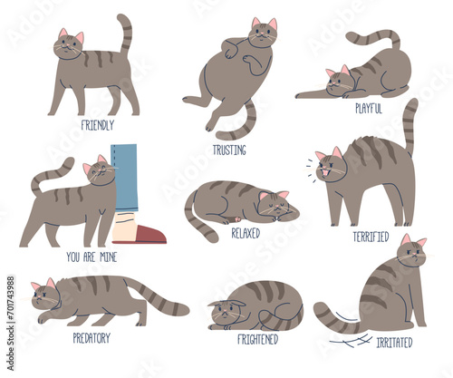 Language Of Cats. Friendly, Trusting, Playful and Relaxed. Terrified, Predatory, Frightened and Irritated, Your are Mine