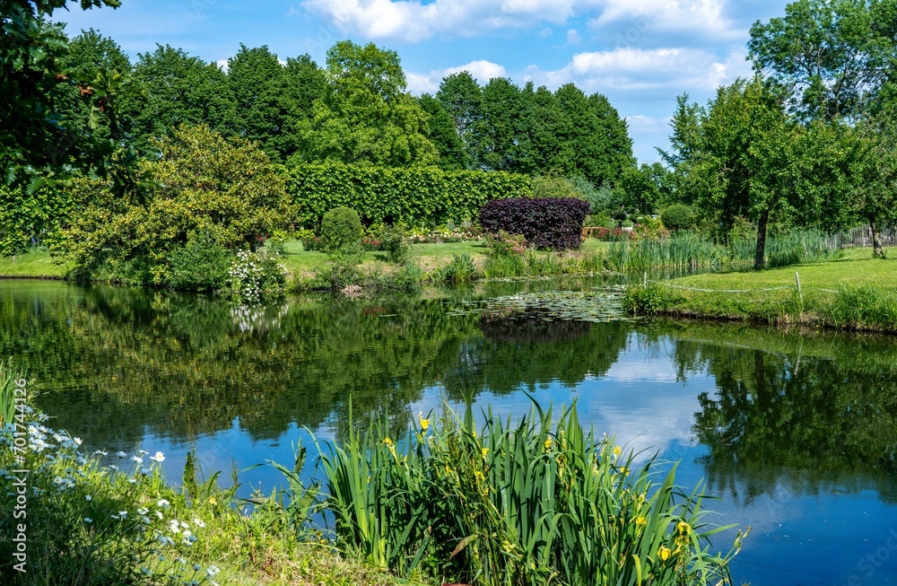 Small pond in the park on a sunny summer day. Landscape.