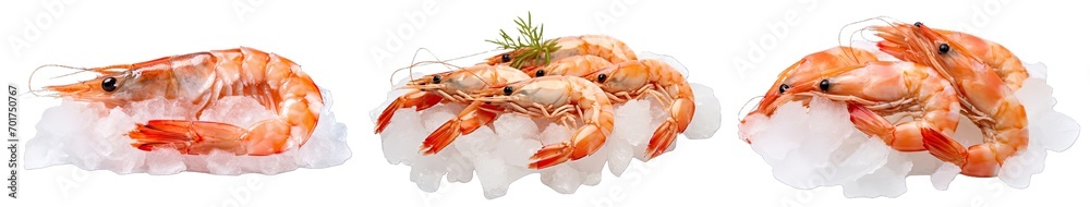 Collection of PNG. Fresh tiger prawns over ice isolated on a transparent background. Collection of PNG. Fresh tiger prawns over ice isolated on a transparent background.