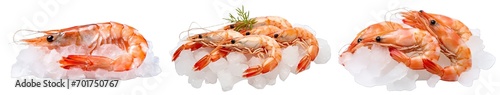 Collection of PNG. Fresh tiger prawns over ice isolated on a transparent background.