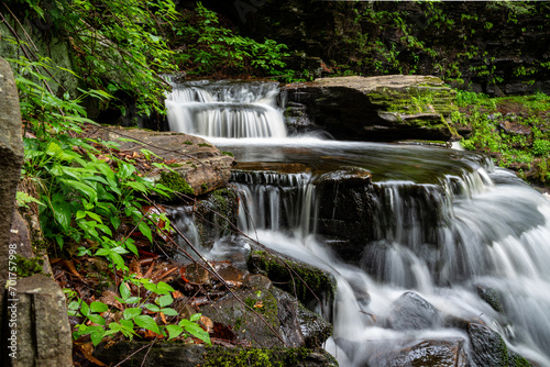 Gentle Cayuga Falls in summer