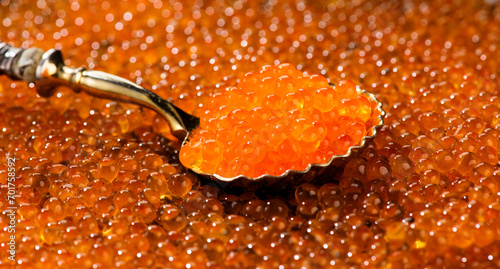 Red Caviar in a spoon background. Close-up of salmon fish roe caviar. Delicatessen. Texture of trout caviar backdrop. Shell shaped spoon full of red caviar. Seafood. 