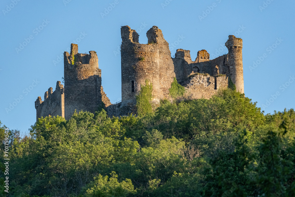 Château-Rocher, encore appelé château fort de Blot-le-Rocher, fort médiéval en ruines situé à Saint-Rémy-de-Blot (Auvergne).