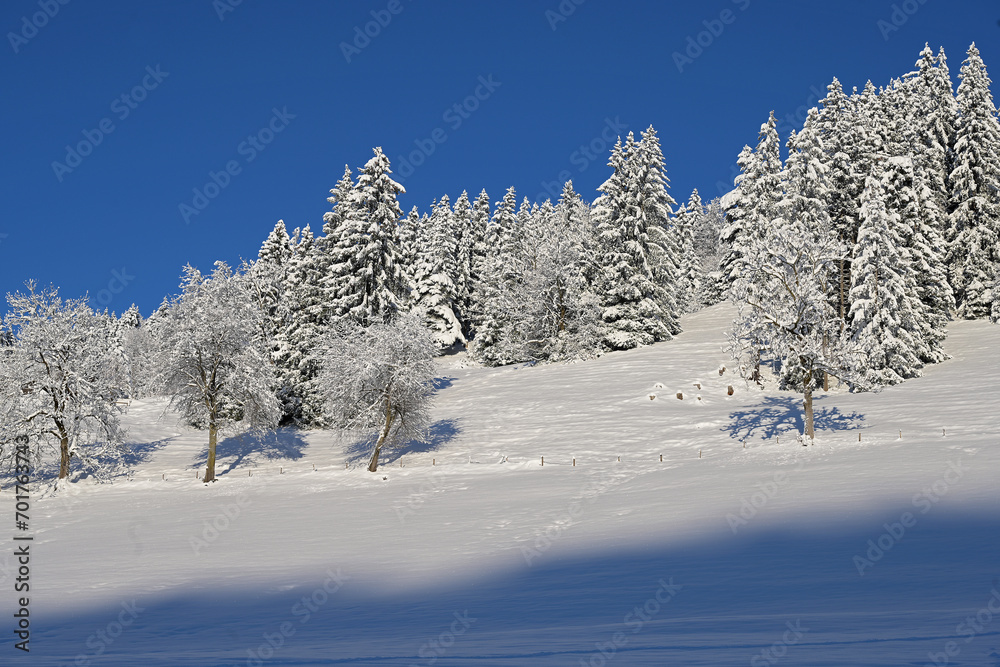 Winterlandschaft bei Gais, Appenzell-Ausserrhoden, Schweiz