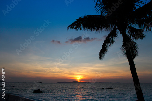 Palm trees silhouette at sunset  Thailand
