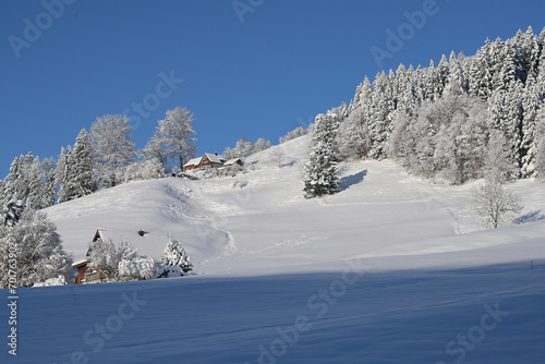 Wohnhaus und Stall in Winterlandschaft, Kt. Appenzell Ausserrhoden, Schweiz © tauav