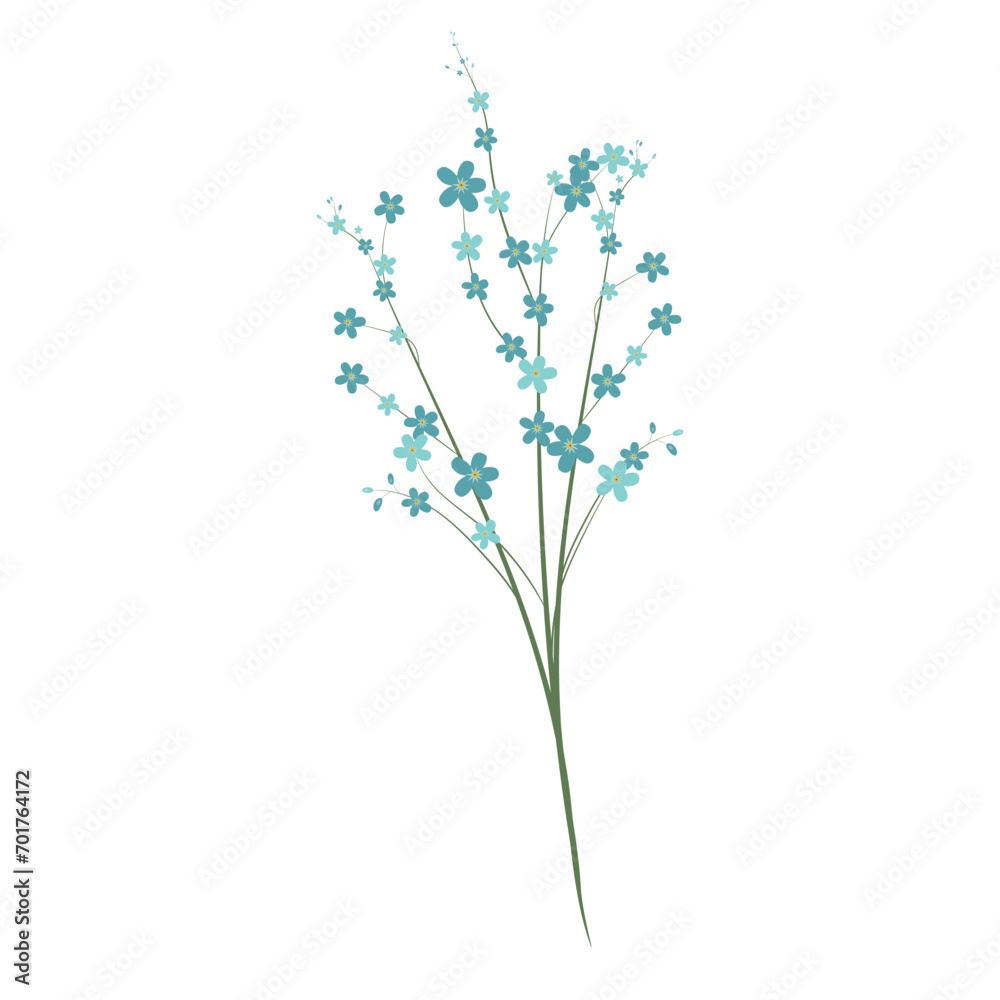 Naklejka premium Web Forget me not, blue flowers. On a white background .