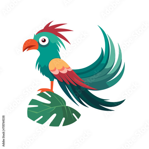 quetzal bird flat vector illustration animal book education