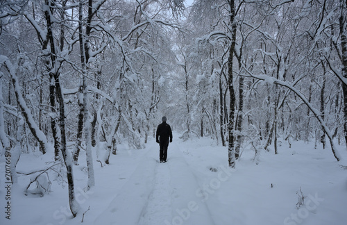Eine Person wandert auf einem schmalen Pfad durch hohen Schnee in einem winterlichen Wald mit hohen Schnee.