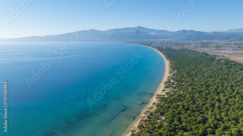 Obraz na płótnie Aerial photo of the pine tree forest in Schinias beach near Athens, Greece w salonie