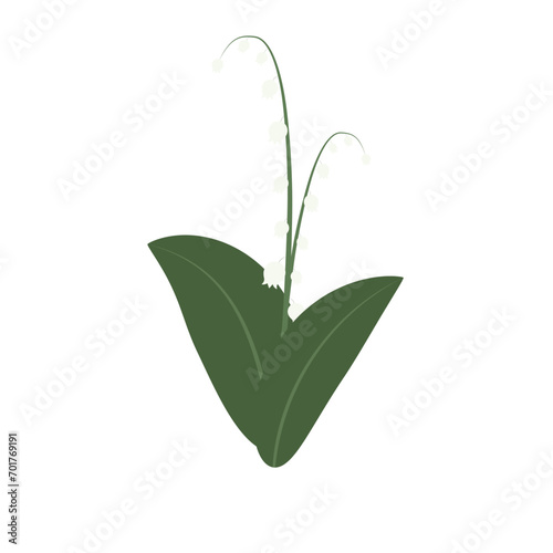 Web Lily of the valley flowers. On a transparent background.
