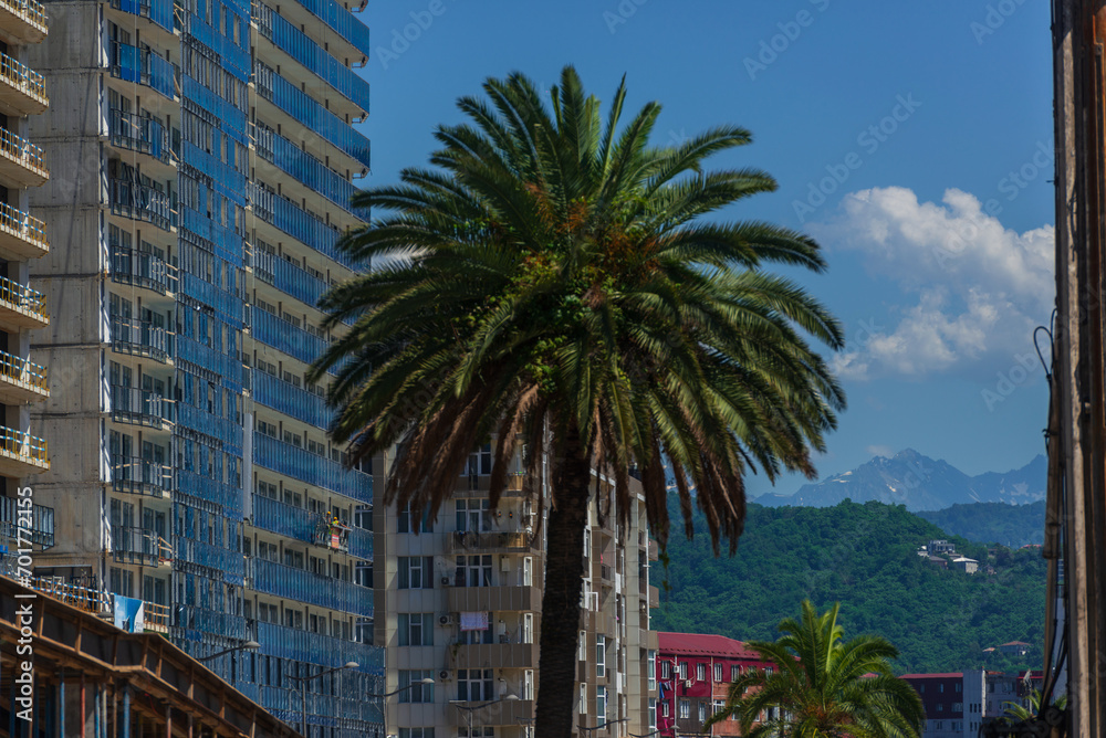 City landscape with modern buildings and snowy mountains, Batumi