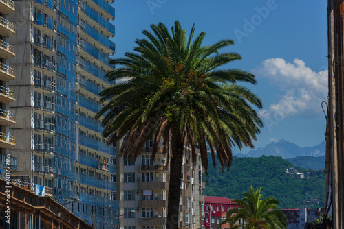 City landscape with modern buildings and snowy mountains, Batumi © vahanabrahamyan