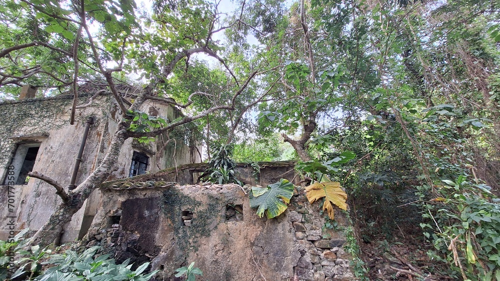 Obraz premium A torn and abandoned village house in the countryside of Hong Kong