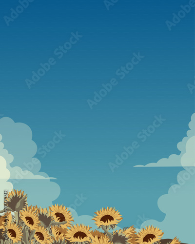 Field of sunflowers, background, wallpaper, poster, banner