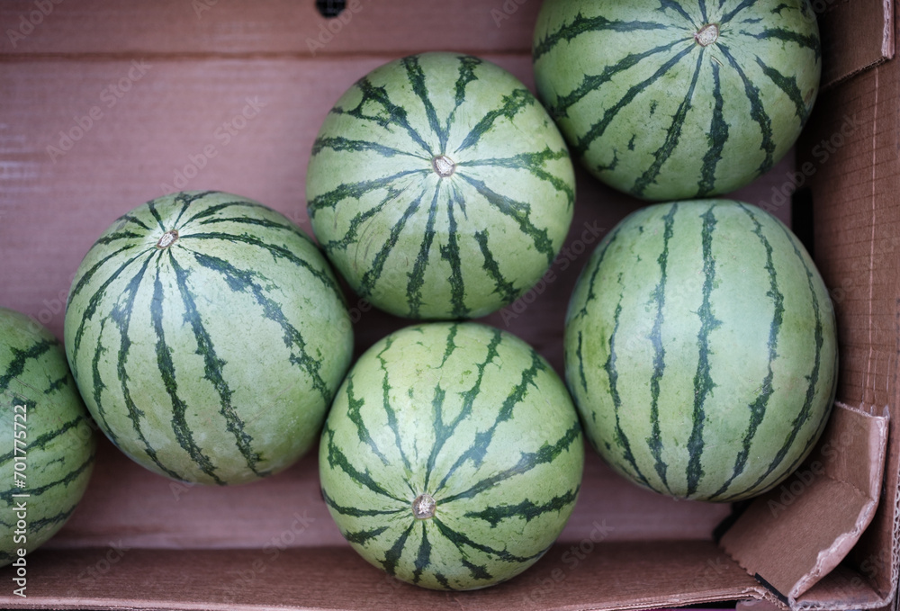 Farmers Market Watermelon