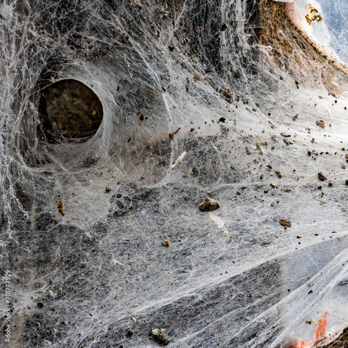Spider web in old building
